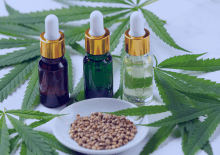 Arkansas Active Medical Marijuana Patients in 2025.png